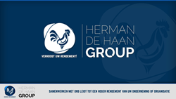 De Haan PALLETINDUSTRIE/GROUP 